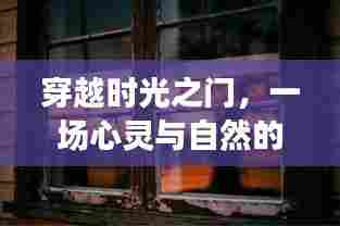 穿越时光的心灵之旅,探索未来宁静角落的奇妙遨游