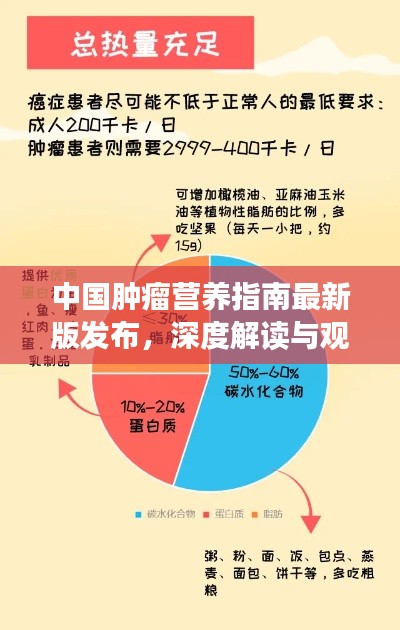中国肿瘤营养指南最新版发布,深度解读与观点阐述报告