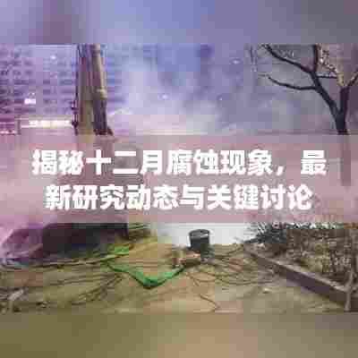 揭秘十二月腐蚀现象,最新研究动态与关键讨论要点解析