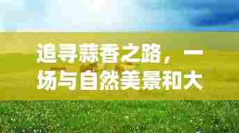 追寻蒜香之路，自然美景与大蒜价格的奇遇之旅