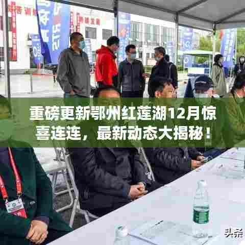 鄂州红莲湖12月惊喜揭秘,最新动态重磅更新!