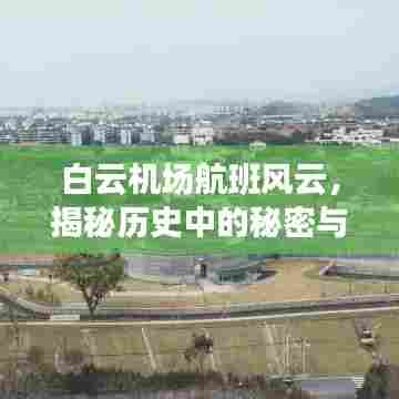 草间求活 第4页
