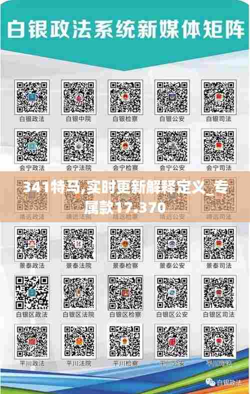341特马,实时更新解释定义_专属款17.370