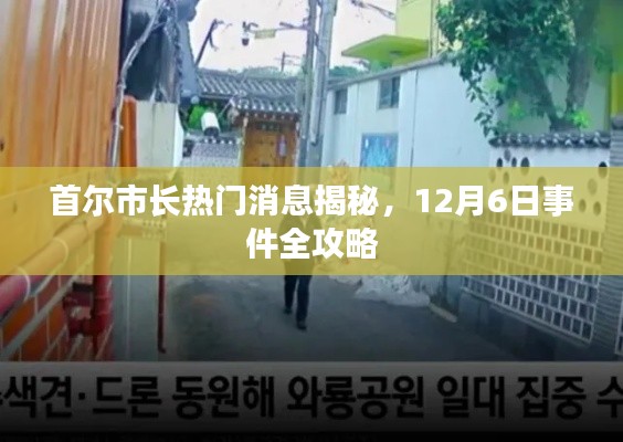 首尔市长热门消息揭秘,12月6日事件全景解读