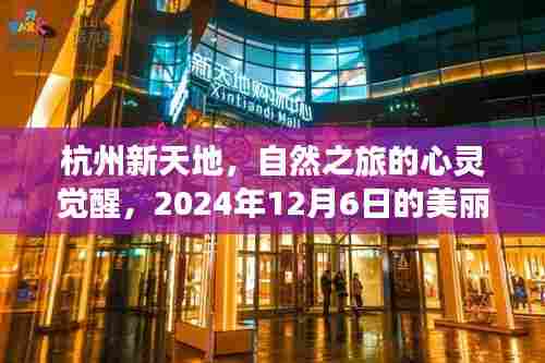 杭州新天地,心灵觉醒的自然之旅,美丽奇遇等你发现(2024年12月6日)