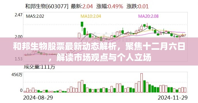 和邦生物股票最新动态解析,十二月六日市场观点与个人立场聚焦