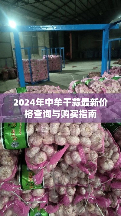 母以子贵 第4页