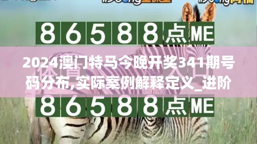 2024澳门特马今晚开奖341期号码分布,实际案例解释定义_进阶款10.673