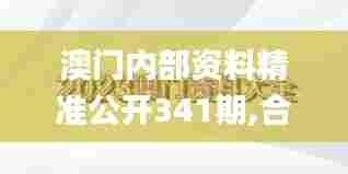 澳门内部资料精准公开341期,合理化决策评审_Hybrid10.894