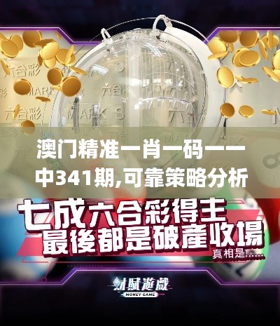 澳门精准一肖一码一一中341期,可靠策略分析_战斗版5.794