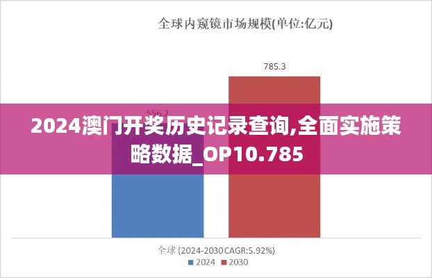2024澳门开奖历史记录查询,全面实施策略数据_OP10.785