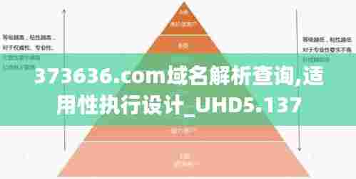 373636.com域名解析查询,适用性执行设计_UHD5.137
