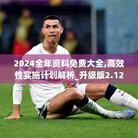 2024全年资料免费大全,高效性实施计划解析_升级版2.127