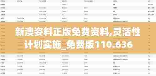 新澳姿料正版免费资料,灵活性计划实施_免费版110.636