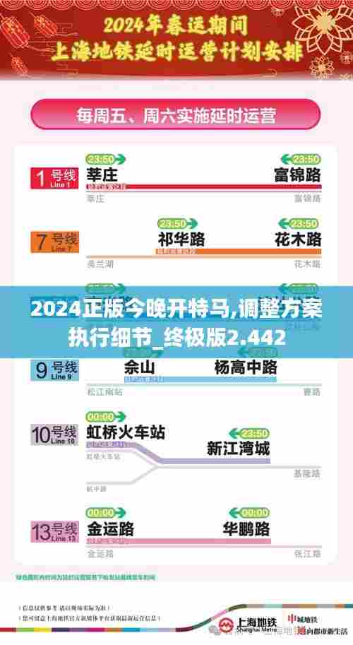 2024正版今晚开特马,调整方案执行细节_终极版2.442