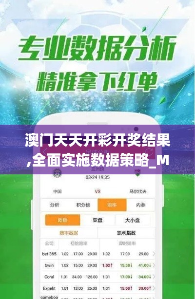 澳门天天开彩开奖结果,全面实施数据策略_MP9.400
