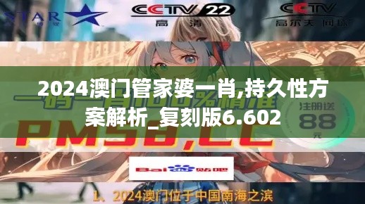 2024澳门管家婆一肖,持久性方案解析_复刻版6.602