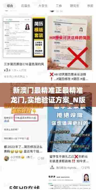 新澳门最精准正最精准龙门,实地验证方案_N版2.669