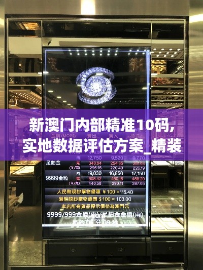 新澳门内部精准10码,实地数据评估方案_精装款6.906
