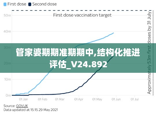 管家婆期期准期期中,结构化推进评估_V24.892