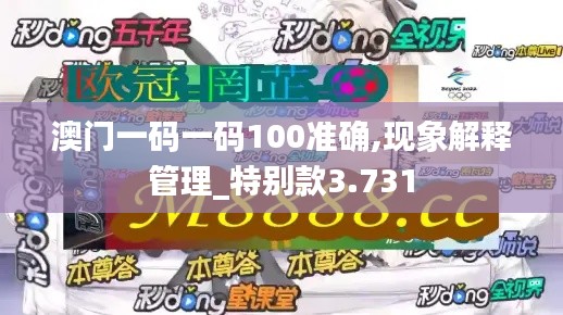澳门一码一码100准确,现象解释管理_特别款3.731