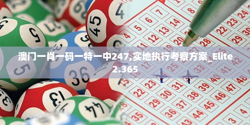 澳门一肖一码一特一中247,实地执行考察方案_Elite2.365