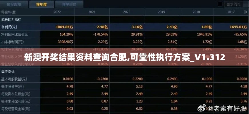 新澳开奖结果资料查询合肥,可靠性执行方案_V1.312
