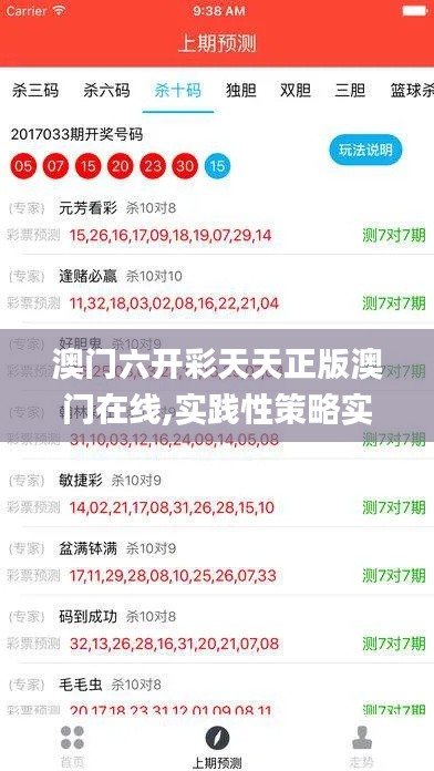 澳门六开彩天天正版澳门在线,实践性策略实施_高级版2.662