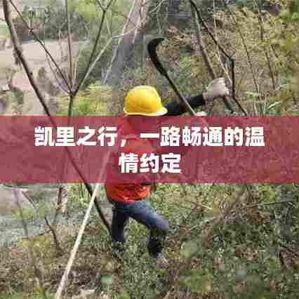 凯里之行,畅通无阻的温情之旅