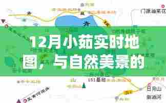 一丝不苟 第4页