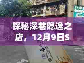 深巷隐逸美食店,Sh9936航班下的独特饕餮体验记