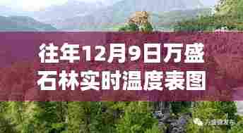 往年12月9日万盛石林实时温度表,全面评测、特性体验与用户洞察揭秘