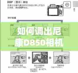 尼康D850相机实时直方图功能操作指南(2024版)
