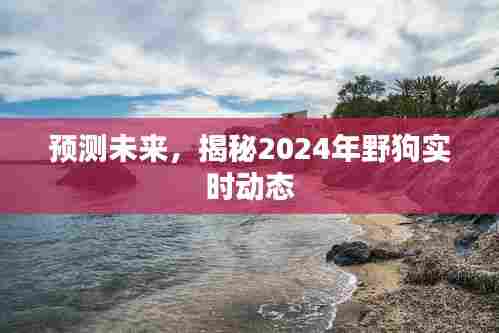 富贵凝香 第4页