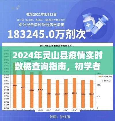 2024年灵山县疫情实时数据查询指南,初学者与进阶用户必备手册详解