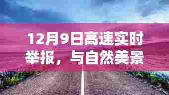 12月9日高速实时举报,与自然美景的奇遇,探寻内心宁静之旅