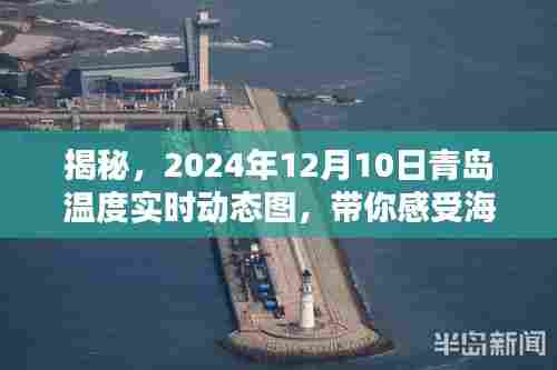 青岛温度揭秘,2024年12月10日实时动态图,感受海风轻拂的温馨瞬间