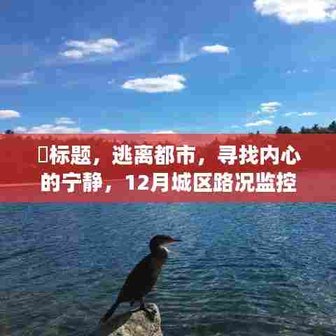 逃离都市,城区路况监控下的奇妙心灵之旅