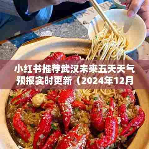 小红书推荐，武汉未来五天天气预报实时更新（2024年12月）
