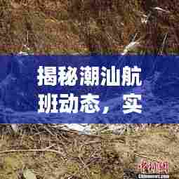 揭秘潮汕航班实时动态,跟踪网址与航班信息解读指南
