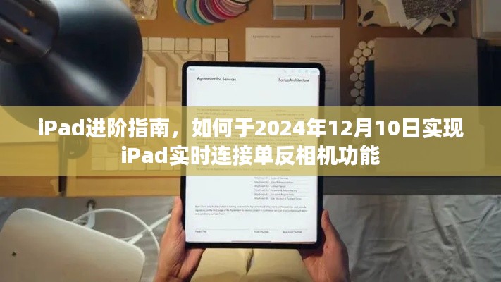 尽心竭力 第4页