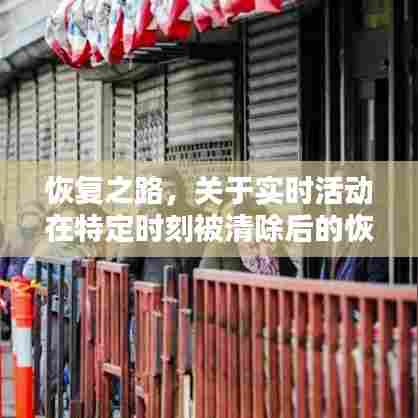 实时活动恢复策略深度解析,恢复之路的探讨与实践