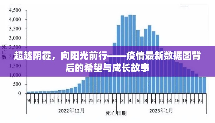 疫情阴霾后的曙光,希望与成长之路——疫情最新数据图分析