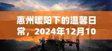 惠州暖阳下的温馨时光,2024年12月10日的暖冬记忆