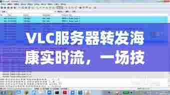 VLC服务器与海康实时流转发技术革新深度解读