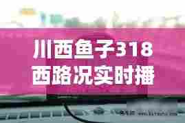 刺股读书 第4页