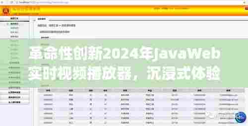 革命性创新,2024年JavaWeb实时视频播放器引领沉浸式体验,开启智能生活新纪元