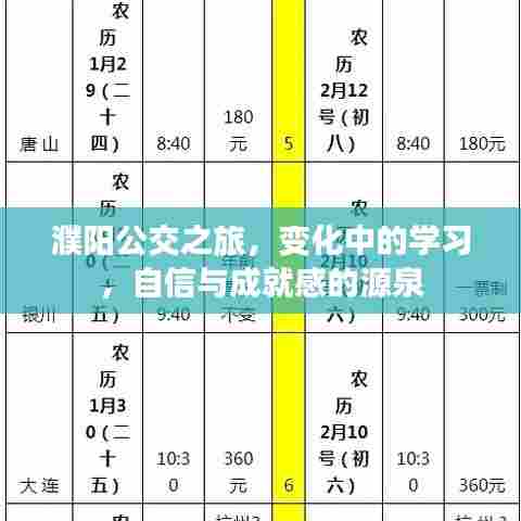 濮阳公交之旅,变化中的学习与自信成就之源