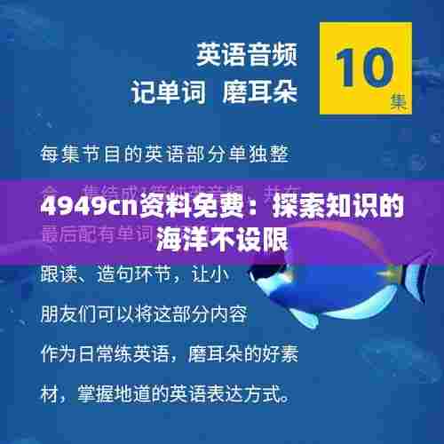 4949cn资料免费:探索知识的海洋不设限
