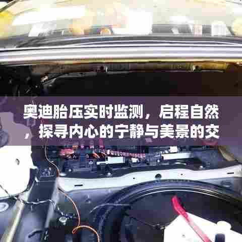 奥迪胎压实时监测,启程探寻心景交融之旅